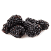Blackberries