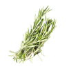 Rosemary