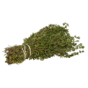 Thyme